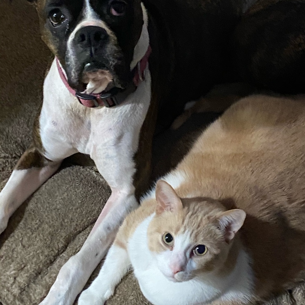 Meet your Posher, Heather